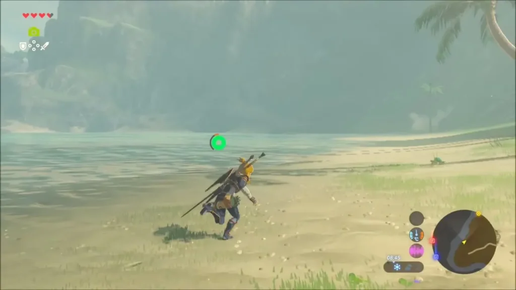 Link sprinting across the sand beside shallow water near the southern cape
