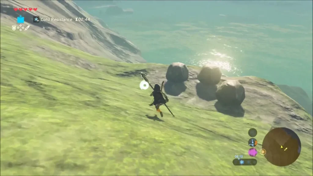 Link running up a grassy slope toward boulders on the ridge above the sea