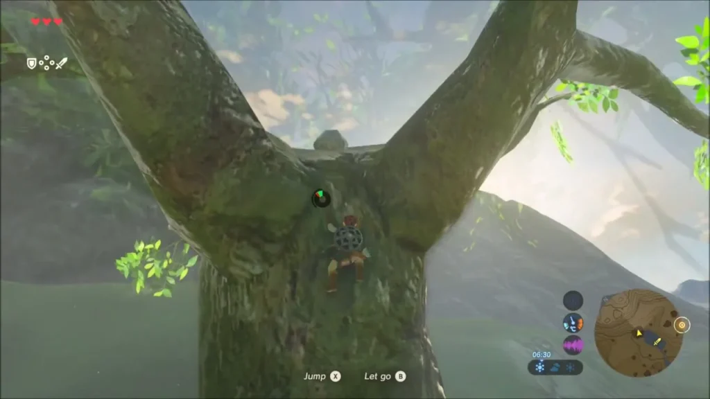 Link climbing the tree trunk below its fork