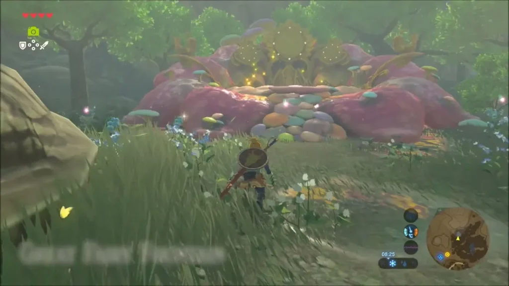 Link approaching the clearing of giant pink mushrooms around Cotera's fountain