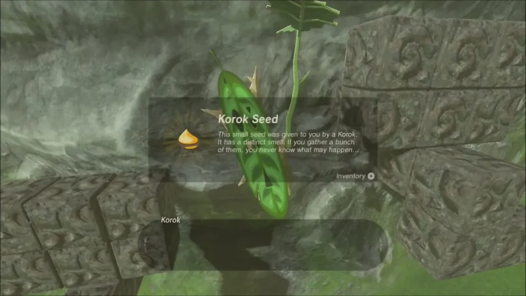 Korok Seed reward box shown beside the Korok in the cube wall