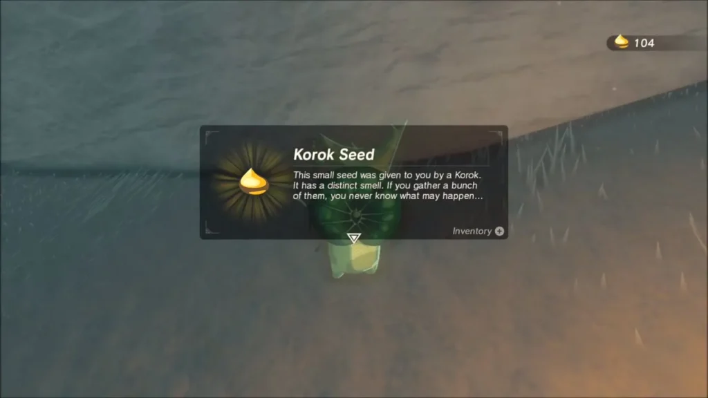 Korok Seed reward box after the Korok is freed from the ice