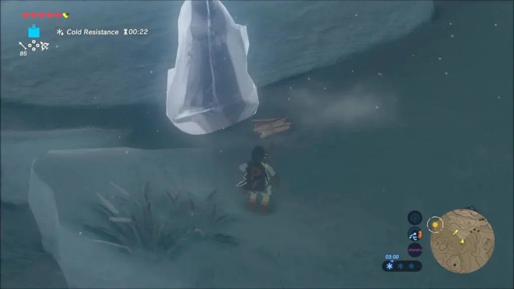Link beside a block of ice with a pile of wood placed next to it