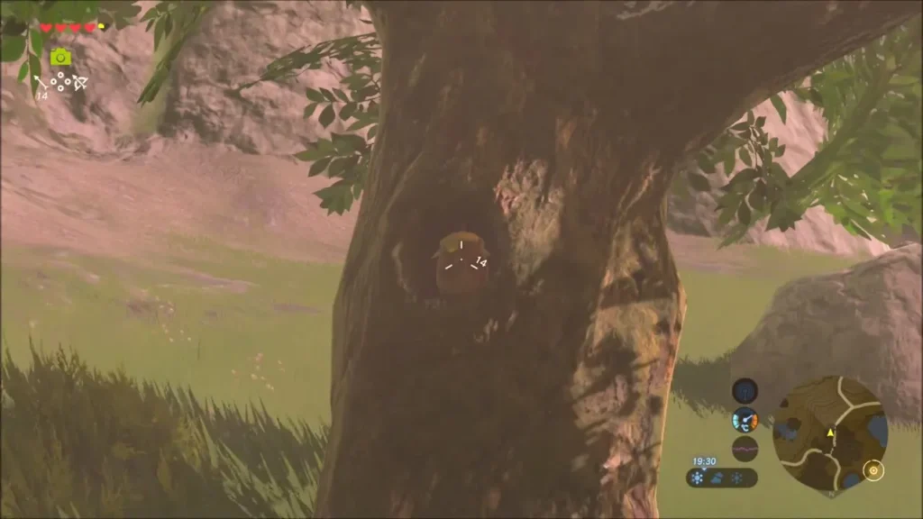 A tree trunk with a small knothole in it, aimed at with the bow