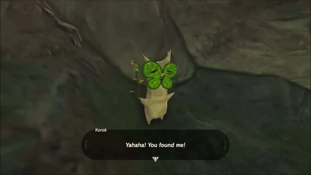 A Korok popping out of the hollow saying you found me