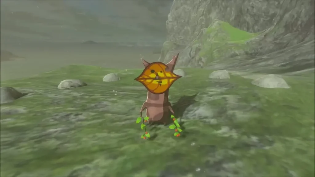 A Korok appears on the slope after the boulder is set in the ring