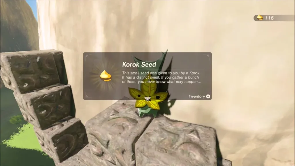 Korok Seed received from the Korok on the cliff