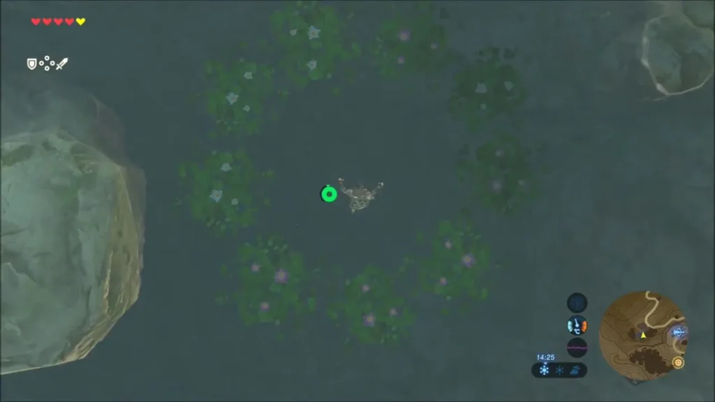 Link gliding down into the middle of a ring of lily pads on a pond