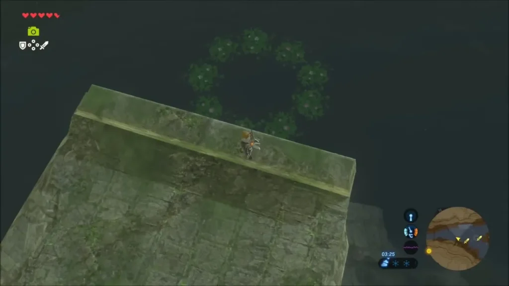 Ring of lily pads floating on the water seen from a stone slab