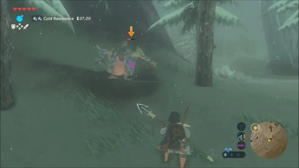 Link facing a Lizalfos among snowy pine trees