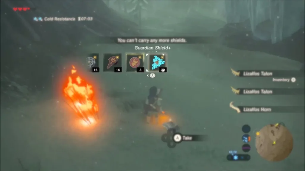 Lizalfos Talon and Horn pickups after a fight in the pine forest