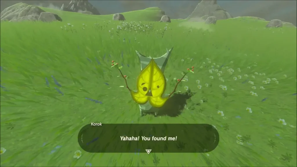 The Korok in the meadow saying you found me