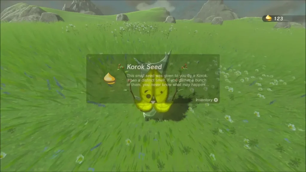 Korok seed item box in the meadow