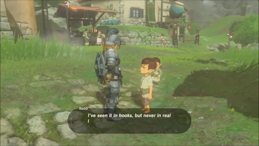 Nebb saying he has only seen the weapon in books, never in real life