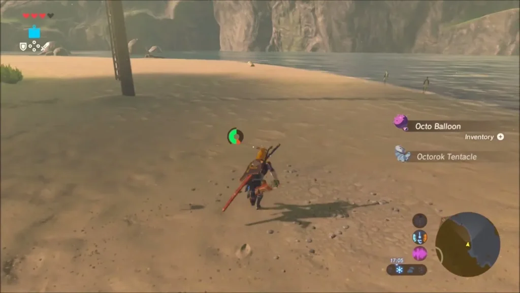 Link on a sandy riverbank after an Octorok fight, with Octo Balloon and Octorok Tentacle drops