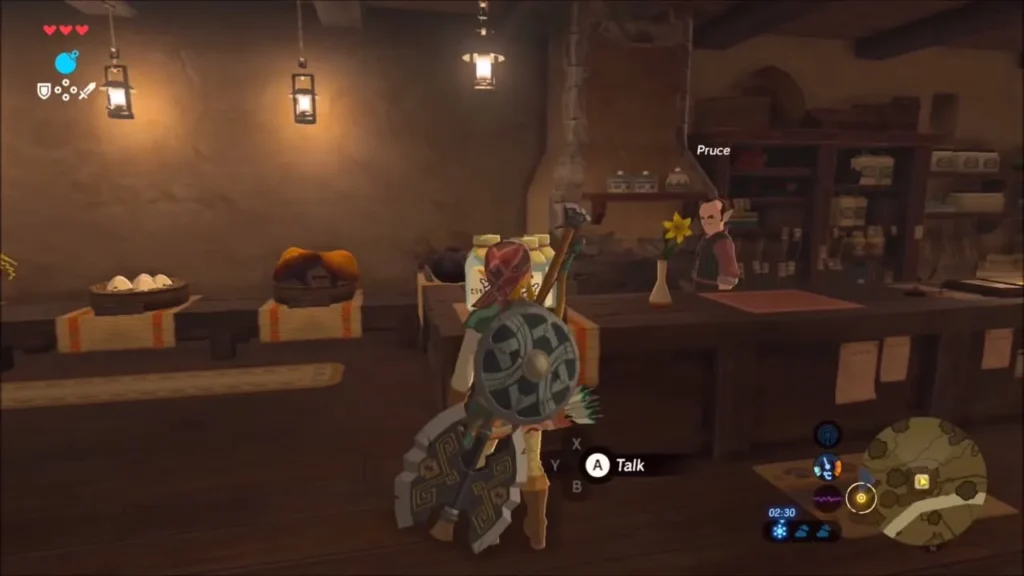 Link inside the general store with Pruce waiting at the counter