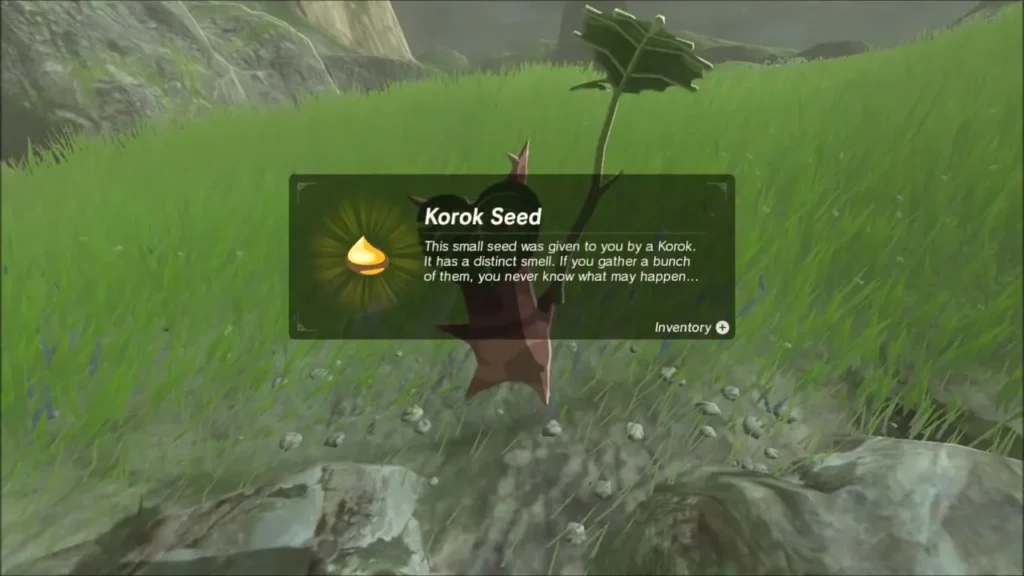Korok seed item box beside the Korok on the grassy ridge
