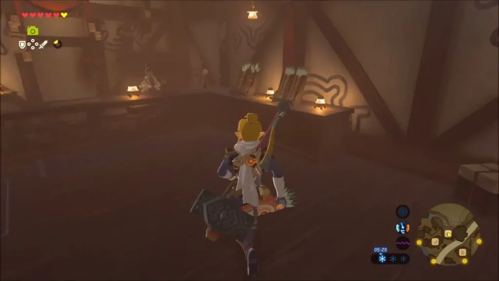 Link inside Rola's arrow shop with arrows on the shelves