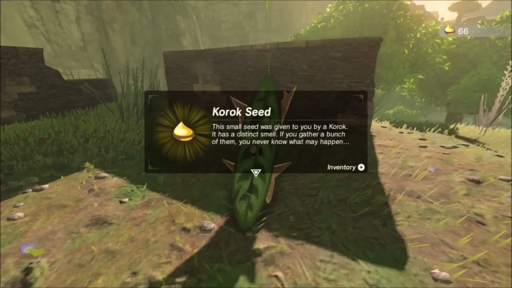 Korok Seed reward box beside the Korok at the ruined wall