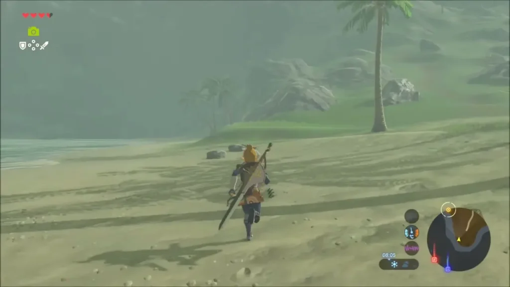 Link running along a sandy beach beside the sea, palm trees and cliffs ahead
