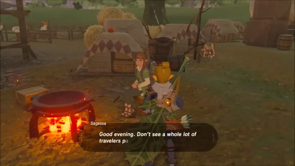Link talking to Sagessa beside the cooking pot