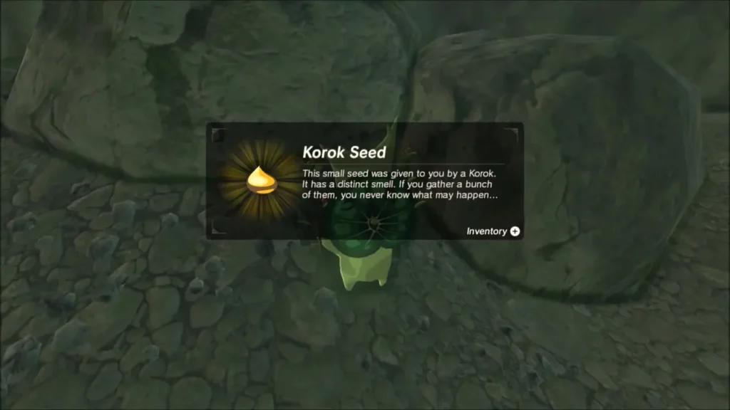 A Korok beside shore boulders giving Link a Korok Seed