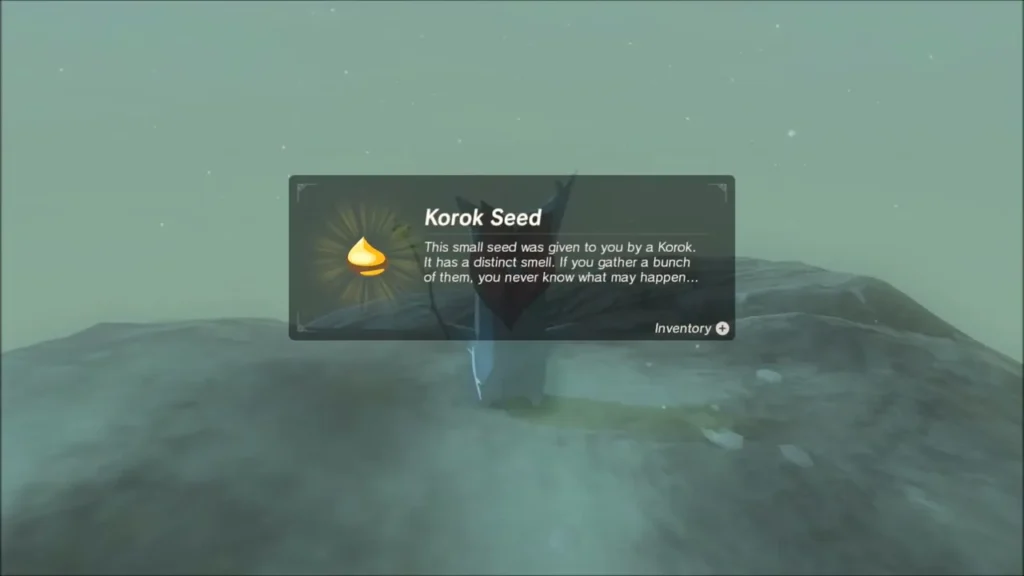 Korok Seed reward box over the Korok on the snowy summit