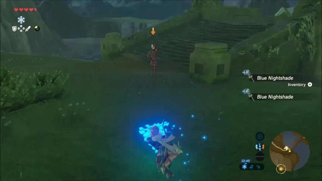 Link fighting a red-clad Yiga Footsoldier on the grass at night