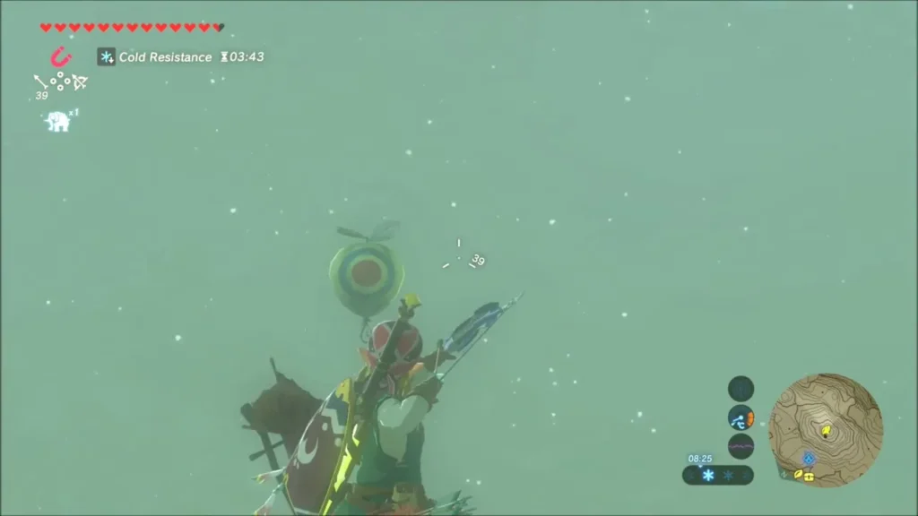 Link aiming his bow at a floating target in the snowy fog Link aiming his bow at a floating target in the snowy fog