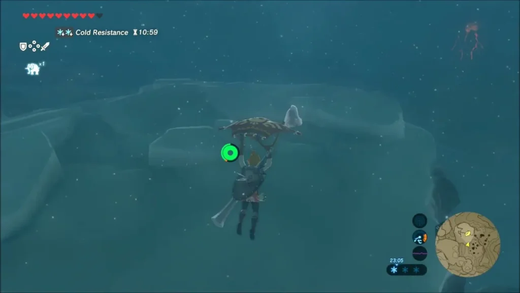 Link gliding over a field of broken ice slabs Link gliding over a field of broken ice slabs