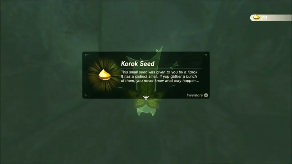 Korok Seed reward box in the cave Korok Seed reward box in the cave