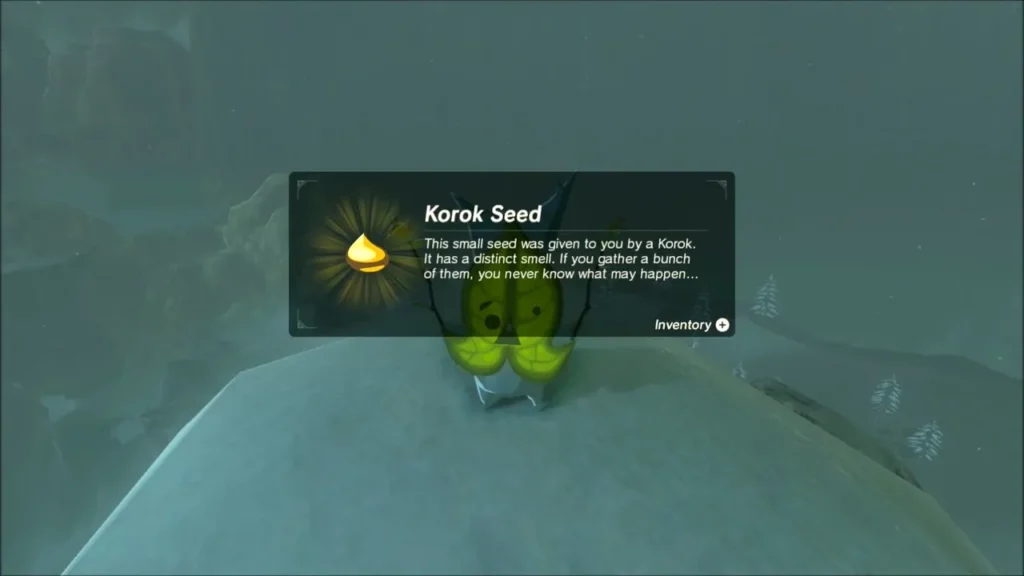 Korok Seed message above the Korok at the dome summit Korok Seed message above the Korok at the dome summit
