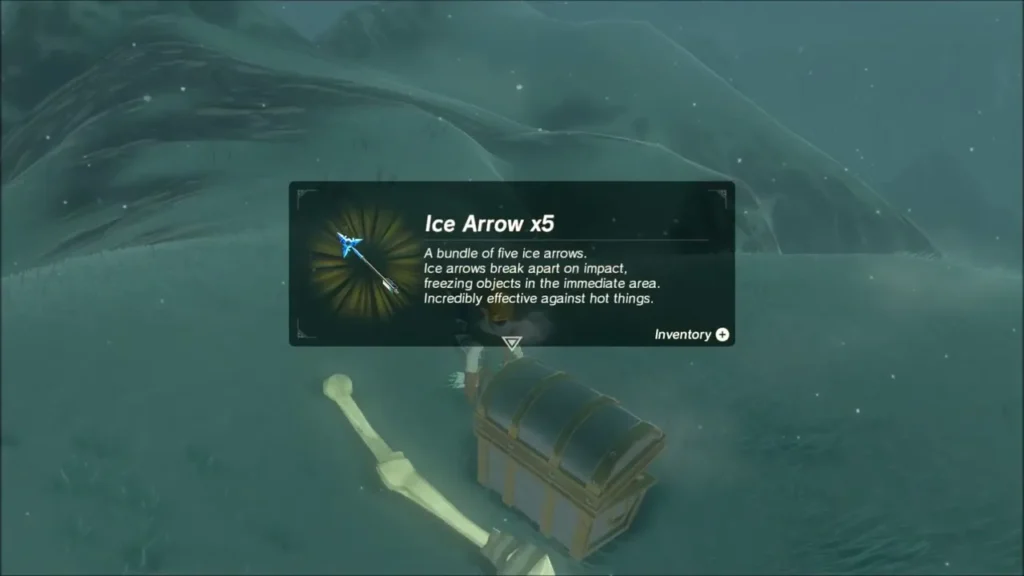 Ice Arrow x5 item box over the opened chest beside bones Ice Arrow x5 item box over the opened chest beside bones