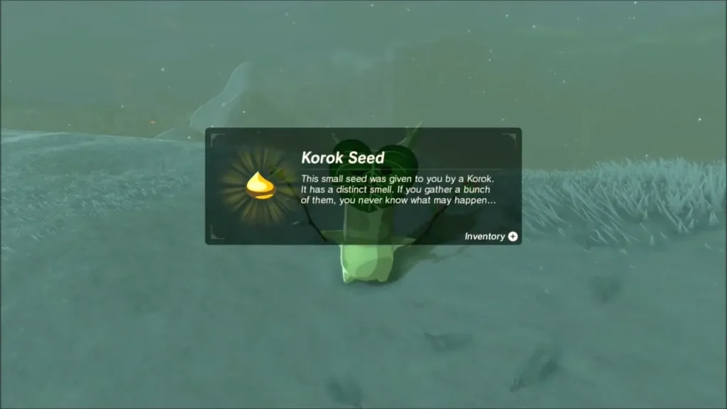 Korok Seed item box shown over the Korok on the plain Korok Seed item box shown over the Korok on the plain