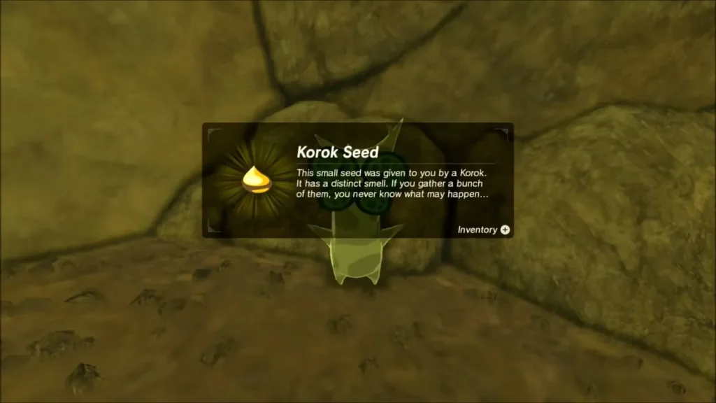 Korok Seed item box above the Korok in the cave nook Korok Seed item box above the Korok in the cave nook