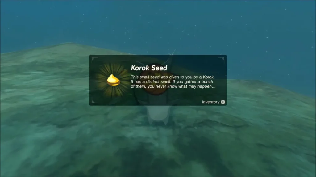 Korok Seed item box after the Korok on the snowy hilltop gives Link a seed Korok Seed item box after the Korok on the snowy hilltop gives Link a seed