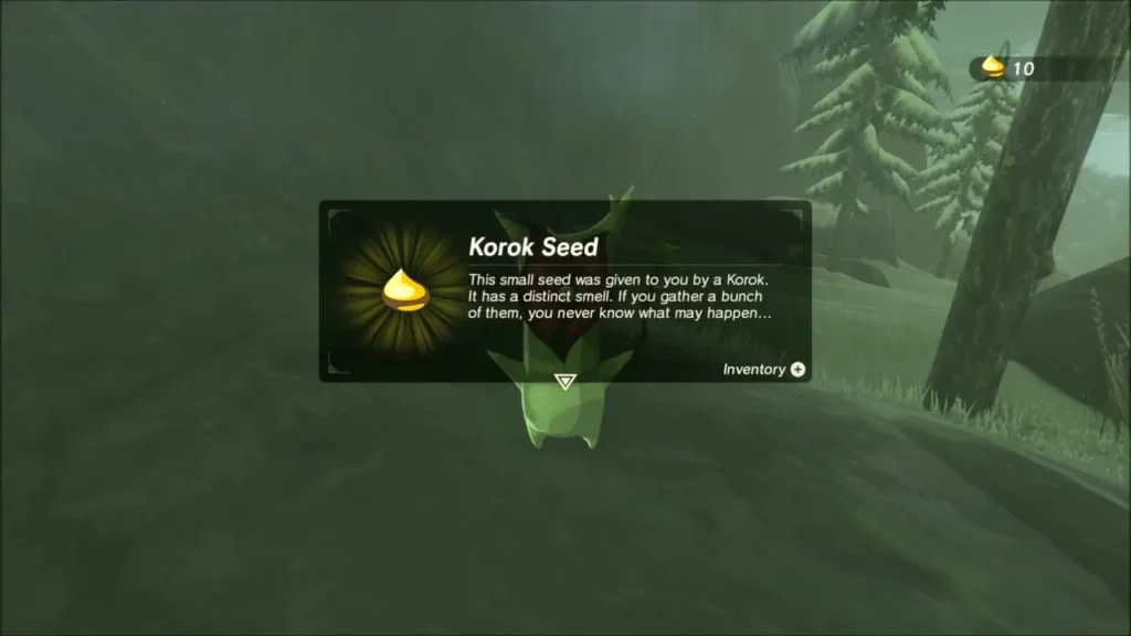 Korok Seed reward box over the Korok in the pines Korok Seed reward box over the Korok in the pines