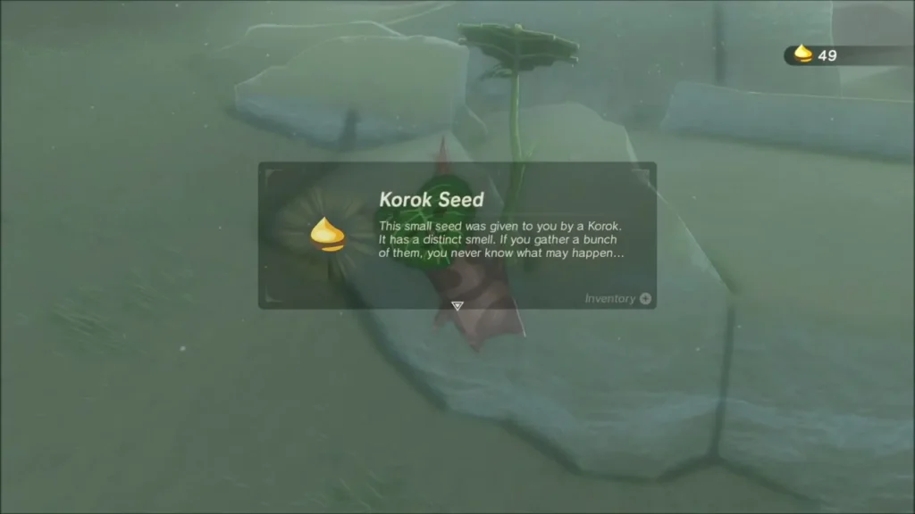 Korok Seed item box shown after finding the Korok in the foggy basin Korok Seed item box shown after finding the Korok in the foggy basin
