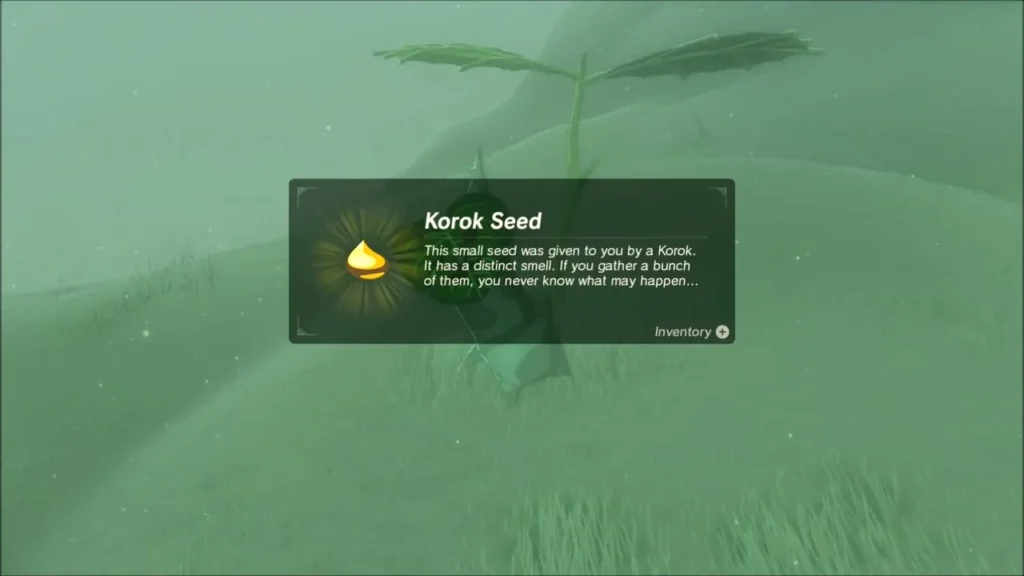 Korok Seed message box with the Korok behind it Korok Seed message box with the Korok behind it