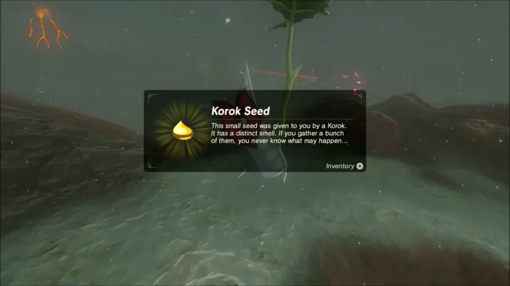 Korok Seed reward box over the Korok on the snowy ridge Korok Seed reward box over the Korok on the snowy ridge