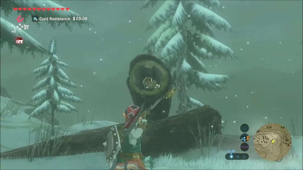 Link lifting a fallen log off a rock in the snowy Hebra pines Link lifting a fallen log off a rock in the snowy Hebra pines