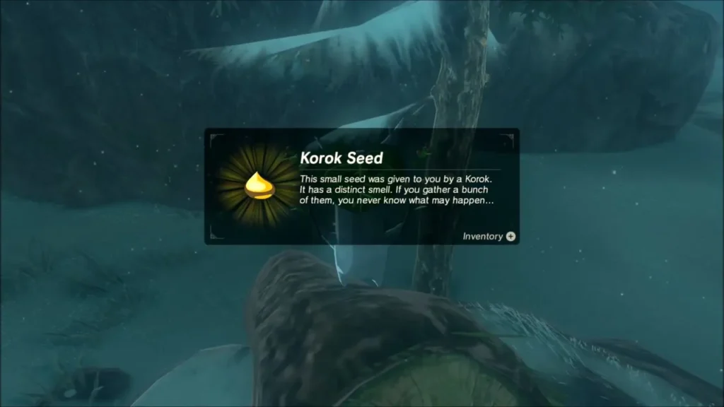Korok Seed received beside the fallen log in the snow Korok Seed received beside the fallen log in the snow