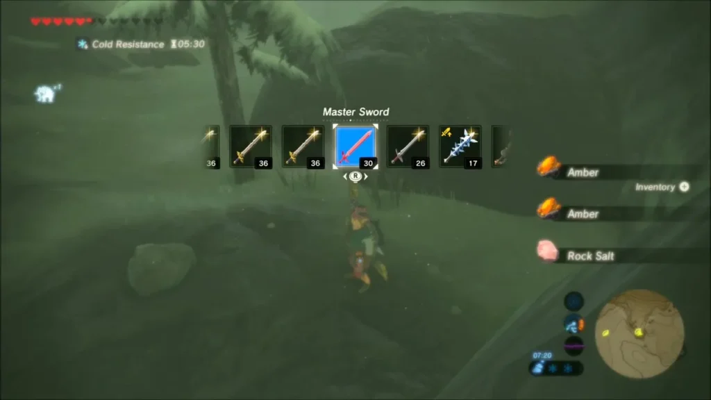 Master Sword selected while Amber and Rock Salt are collected Master Sword selected while Amber and Rock Salt are collected