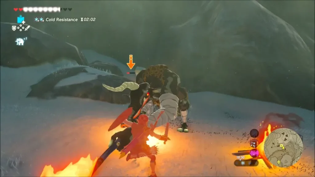 Link striking a Moblin beside a burning campfire Link striking a Moblin beside a burning campfire