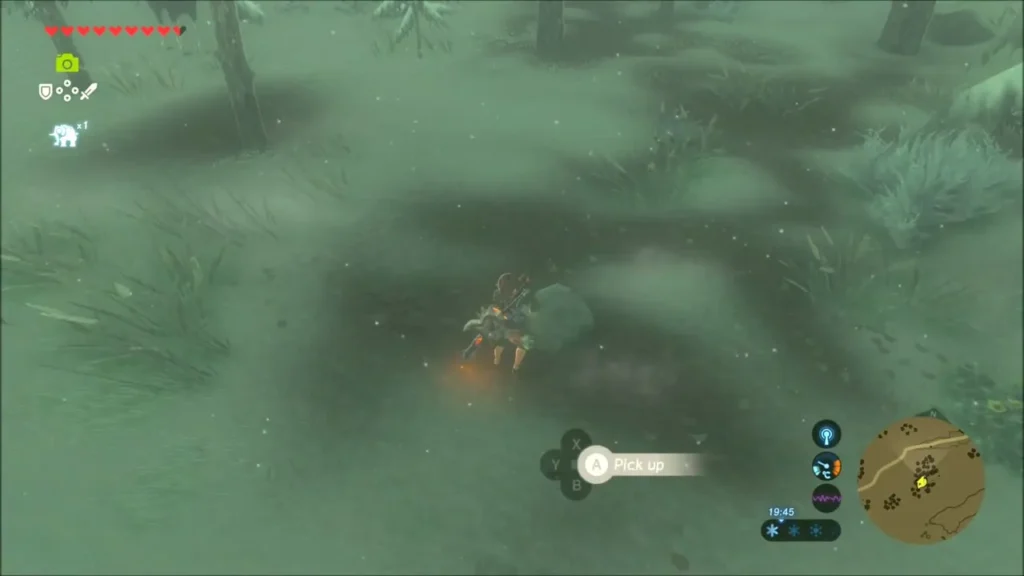 Link about to lift a rock on the pine forest floor Link about to lift a rock on the pine forest floor