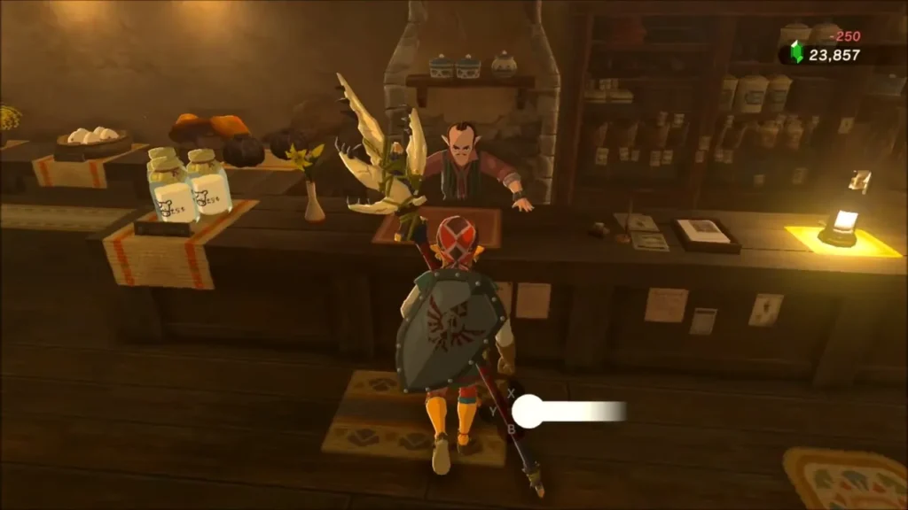 Link at the counter facing shopkeeper Pruce in the general store Link at the counter facing shopkeeper Pruce in the general store