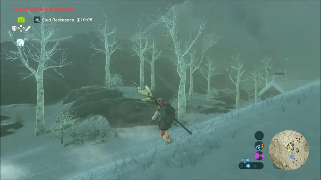 Link climbing a snowy slope through bare birch trees Link climbing a snowy slope through bare birch trees