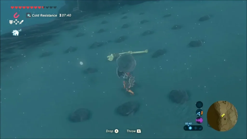 Link carrying a rock past scattered stone lumps near giant bones Link carrying a rock past scattered stone lumps near giant bones