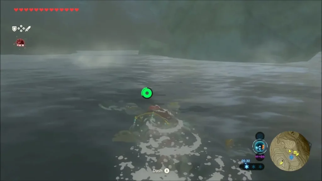Link swimming across the dark pool in the skeleton cave Link swimming across the dark pool in the skeleton cave