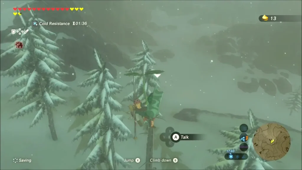 Link on the pole next to the Korok with the Talk prompt Link on the pole next to the Korok with the Talk prompt